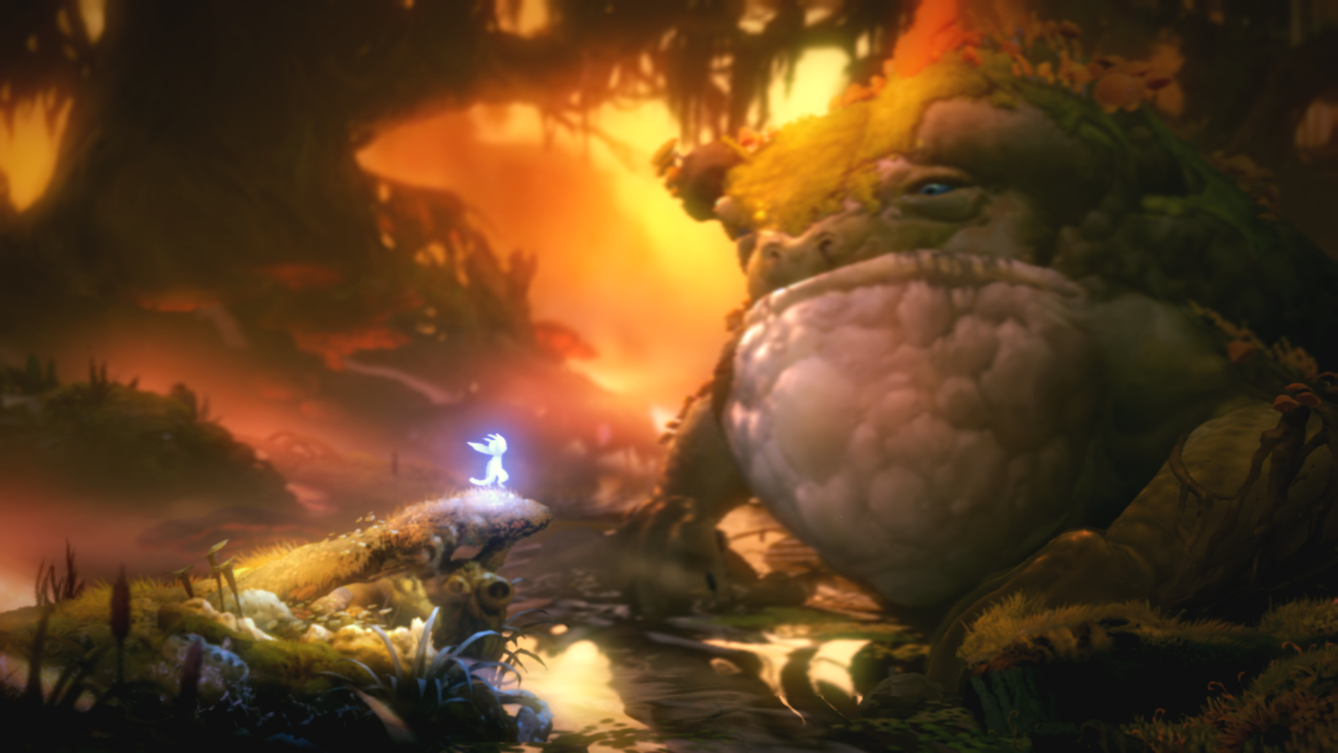 Ori and the Will of the Wisps landscape