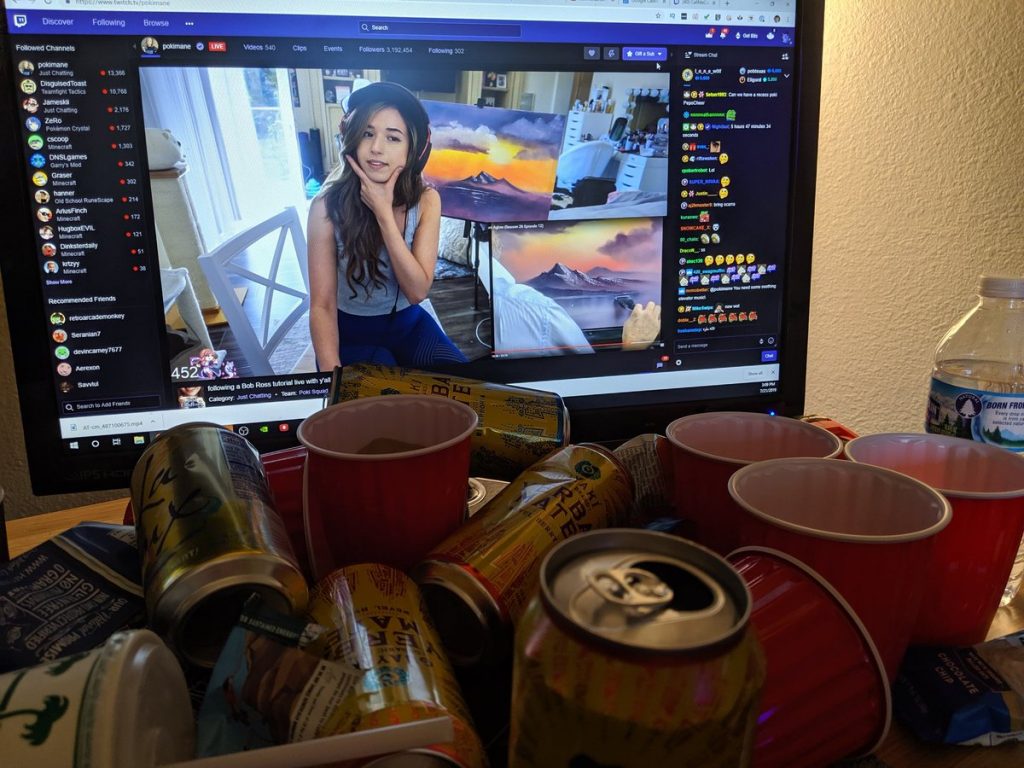 Popcorn Gamer Tipi di Videogiocatori Twitch 2020