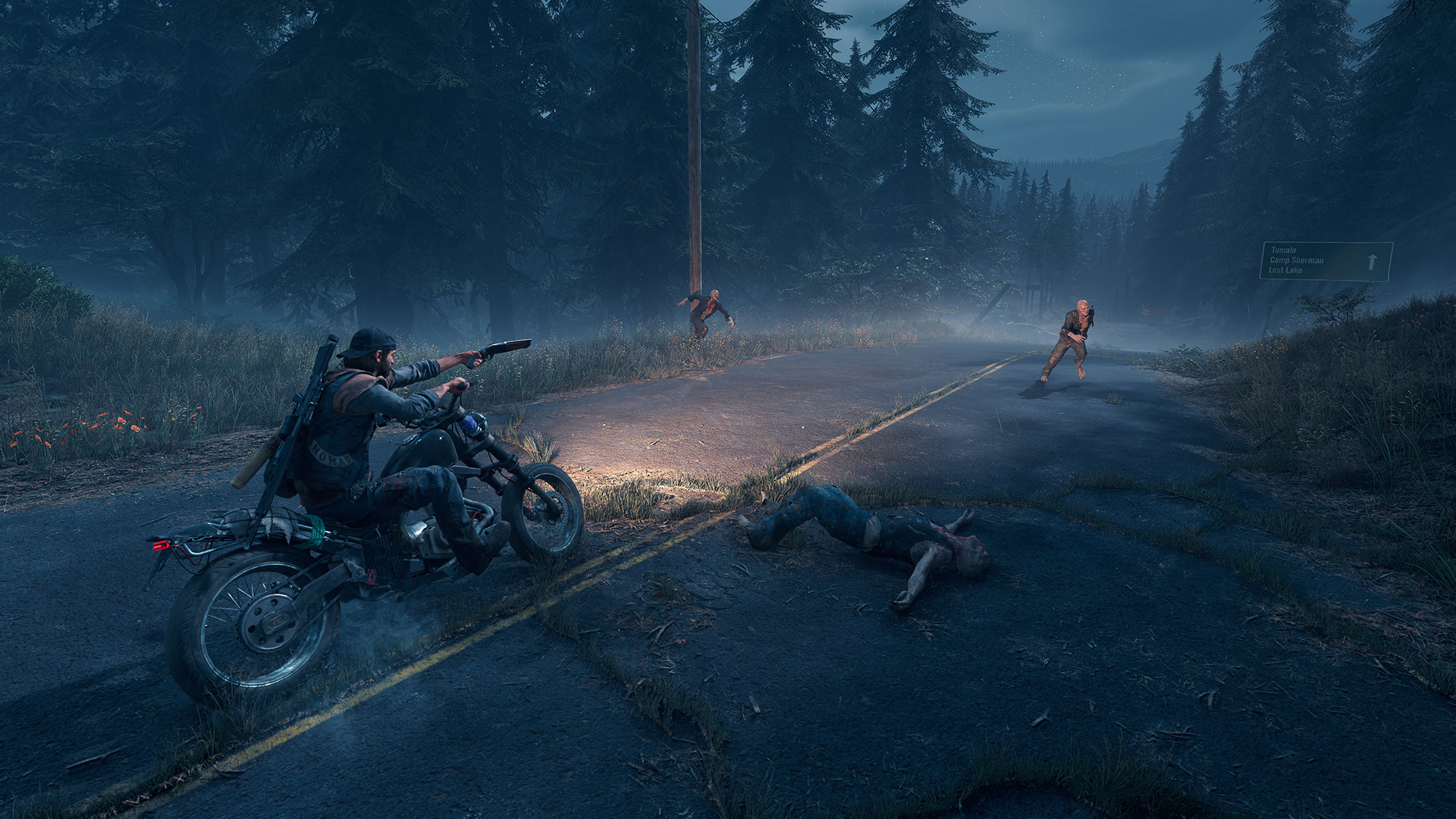 Days gone Playstation Network e Steam