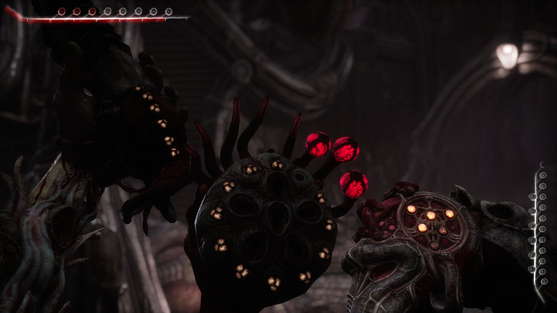 Scorn