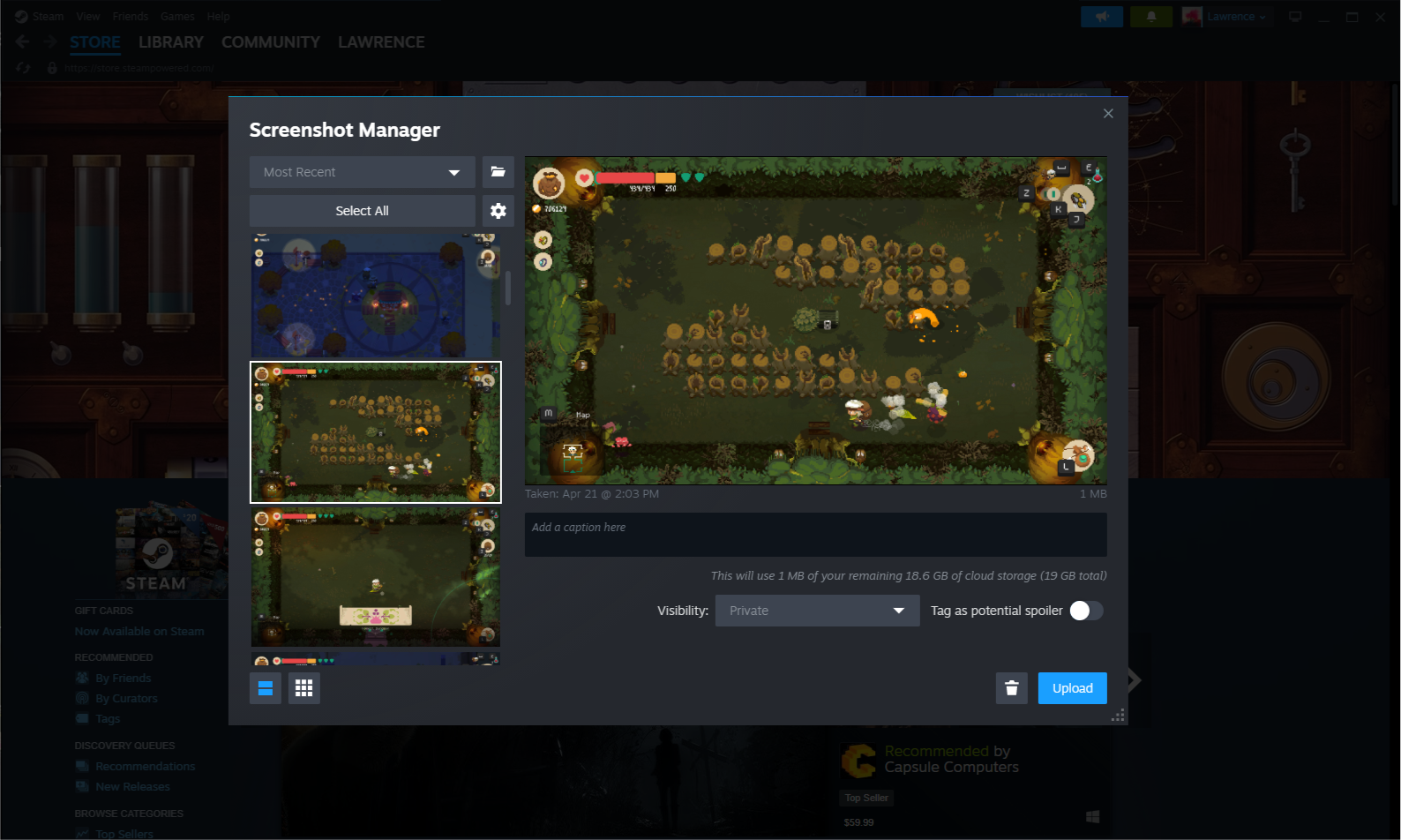 Steam gestore degli screenshot