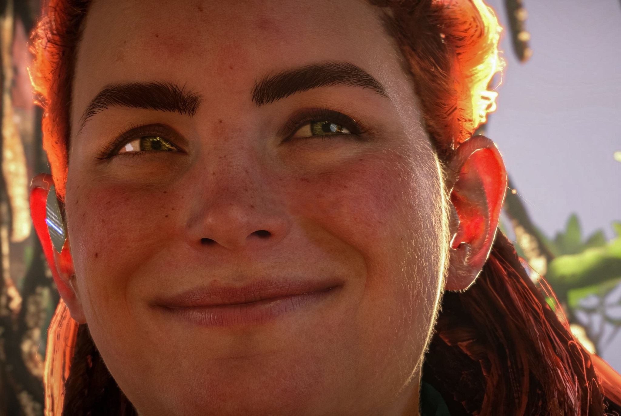 La Barba di Aloy
